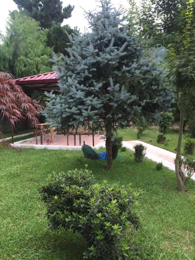 Vacation Home Nukri Gonio Exterior photo